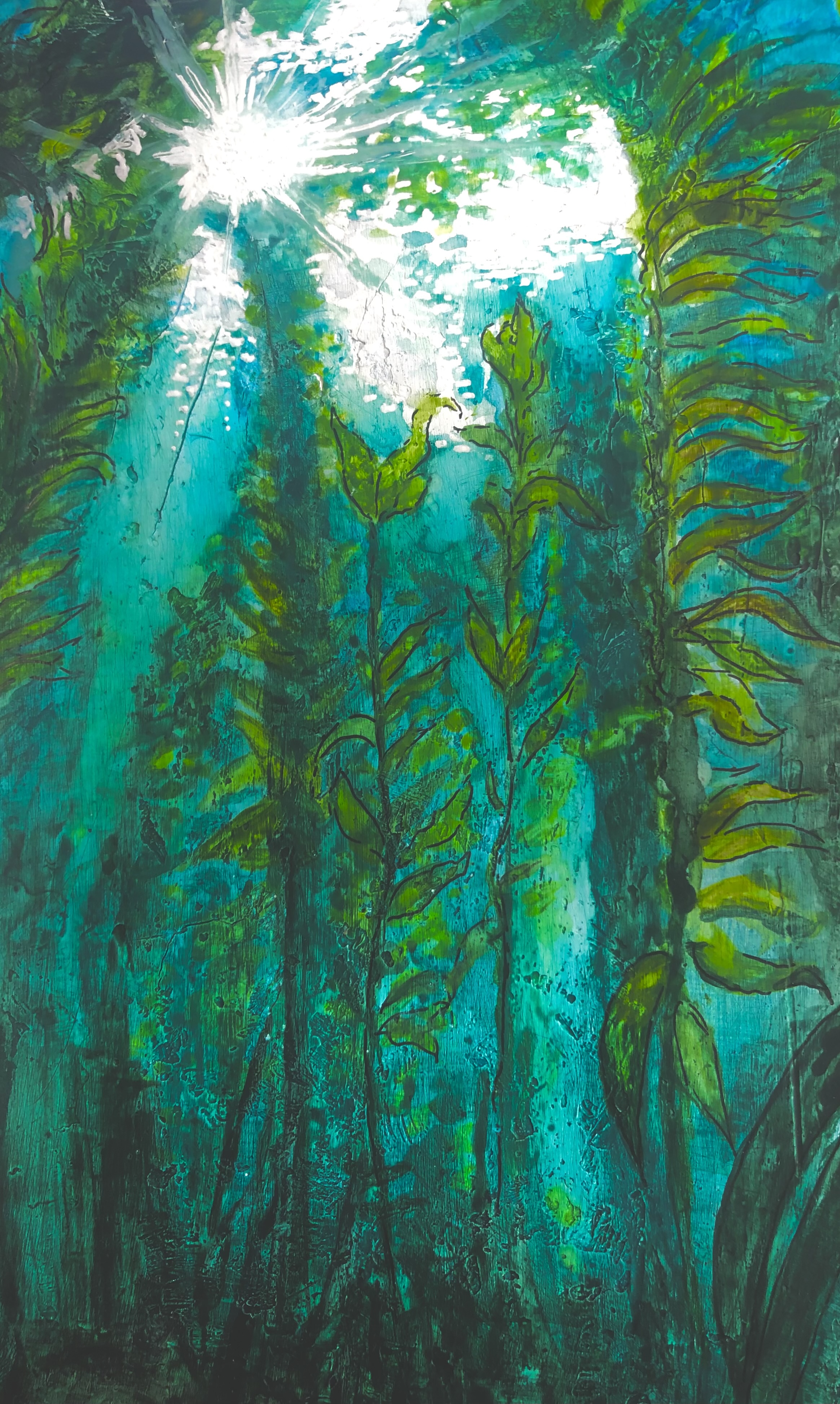 Kelp Forest